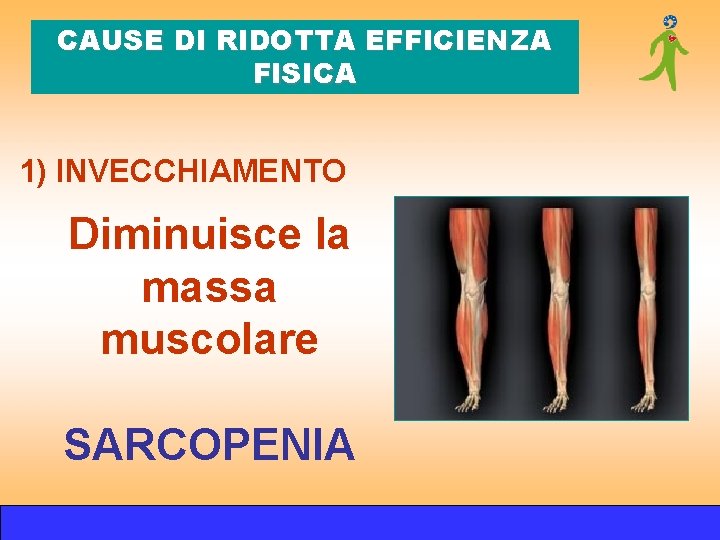CAUSE DI RIDOTTA EFFICIENZA FISICA 1) INVECCHIAMENTO Diminuisce la massa muscolare SARCOPENIA CAUSE DI RIDOTTA EFFICIENZA FISICA 1) INVECCHIAMENTO Diminuisce la massa muscolare SARCOPENIA