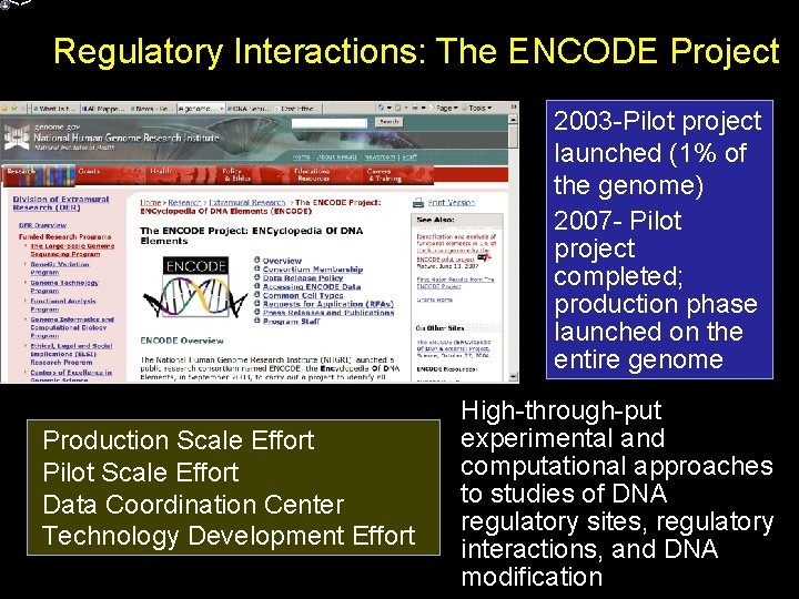 <> Regulatory Interactions: The ENCODE Project 2003 -Pilot project launched (1% of the genome)