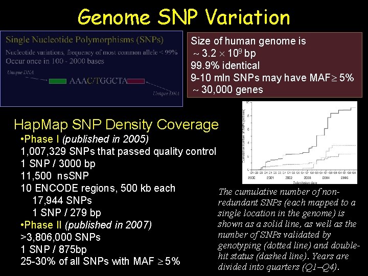 Genome SNP Variation Size of human genome is 3. 2 109 bp 99. 9%