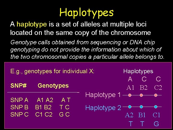 Haplotypes A haplotype is a set of alleles at multiple loci located on the