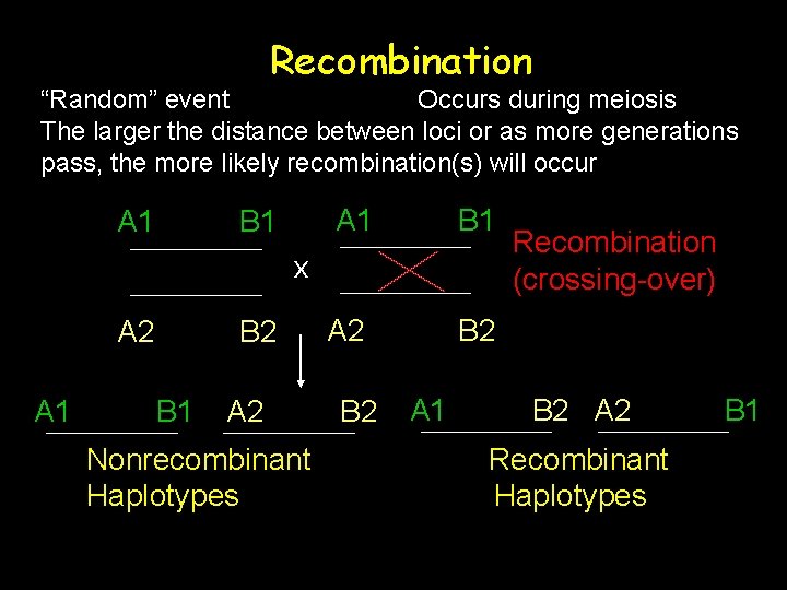 Recombination “Random” event Occurs during meiosis The larger the distance between loci or as