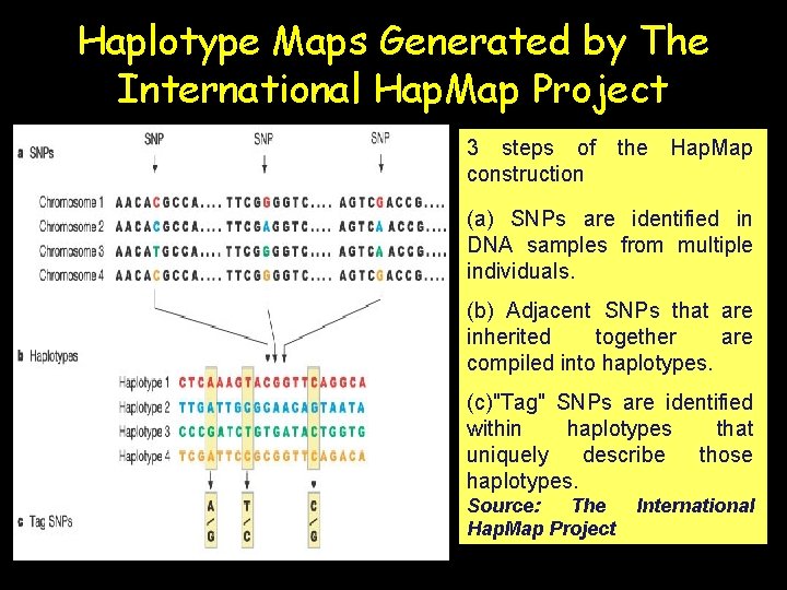 Haplotype Maps Generated by The International Hap. Map Project 3 steps of construction the