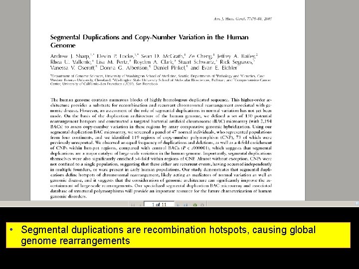  • Segmental duplications are recombination hotspots, causing global genome rearrangements 