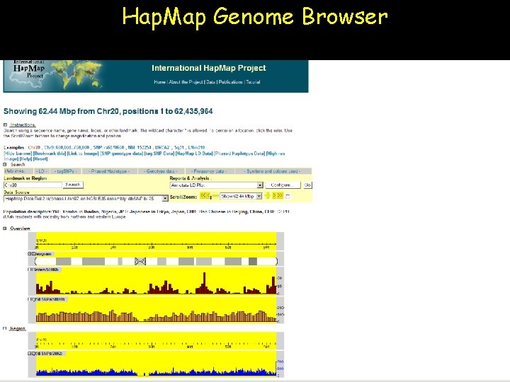 Hap. Map Genome Browser 