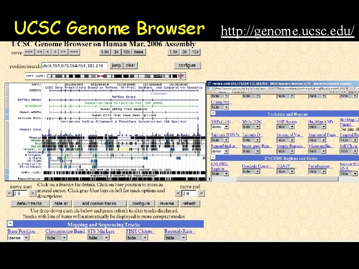 UCSC Genome Browser http: //genome. ucsc. edu/ 