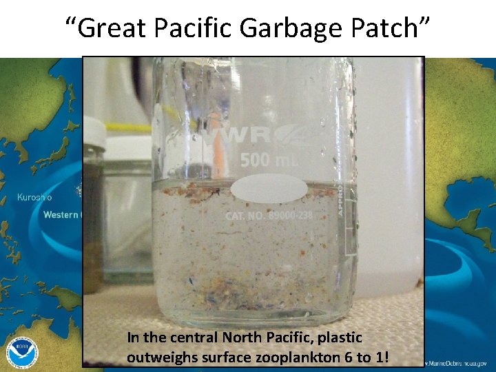 “Great Pacific Garbage Patch” In the central North Pacific, plastic outweighs surface zooplankton 6