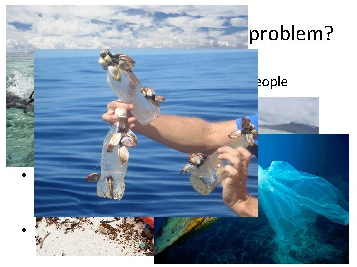 Why is plastic pollution a problem? • Aesthetic – Visual disturbances for people • Why is plastic pollution a problem? • Aesthetic – Visual disturbances for people •