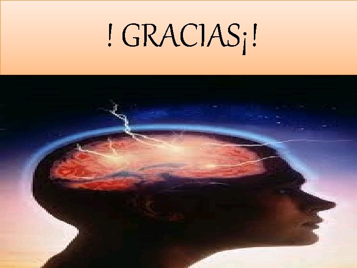 ! GRACIAS¡! ! GRACIAS¡!