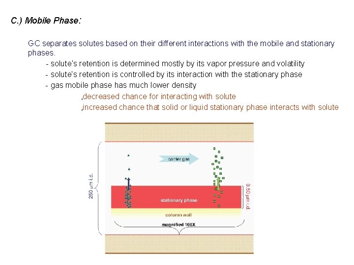 C. ) Mobile Phase: GC separates solutes based on their different interactions with the