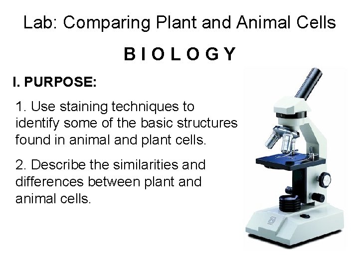 Lab: Comparing Plant and Animal Cells BIOLOGY I. PURPOSE: 1. Use staining techniques to