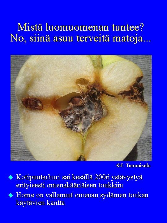 Mistä luomuomenan tuntee? No, siinä asuu terveitä matoja. . . ©J. Tammisola u u