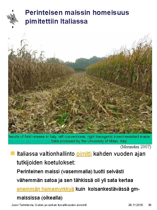 Perinteisen maissin homeisuus pimitettiin Italiassa (Morandini 2007) n Italiassa valtionhallinto pimitti kahden vuoden ajan