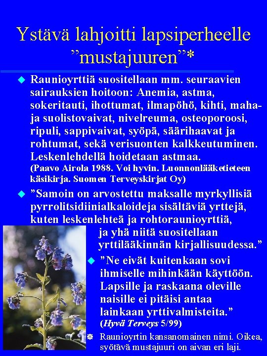 Ystävä lahjoitti lapsiperheelle ”mustajuuren”* u Raunioyrttiä suositellaan mm. seuraavien sairauksien hoitoon: Anemia, astma, sokeritauti,