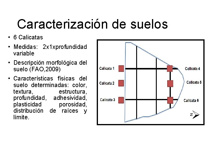 Caracterización de suelos • 6 Calicatas • Medidas: 2 x 1 xprofundidad variable •