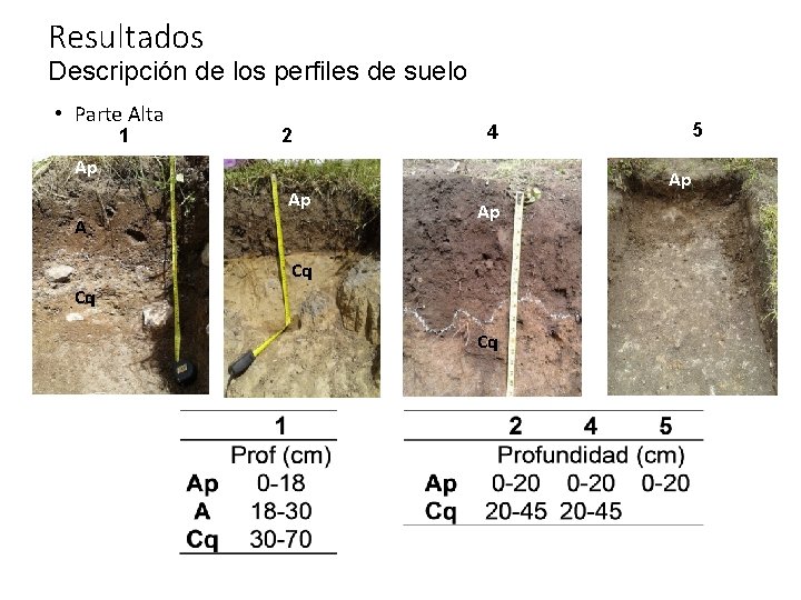 Resultados Descripción de los perfiles de suelo • Parte Alta 1 2 Ap Ap