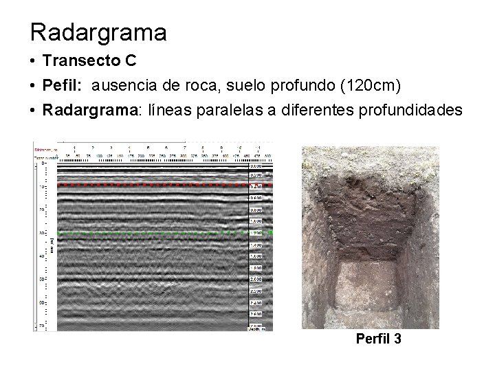 Radargrama • Transecto C • Pefil: ausencia de roca, suelo profundo (120 cm) •