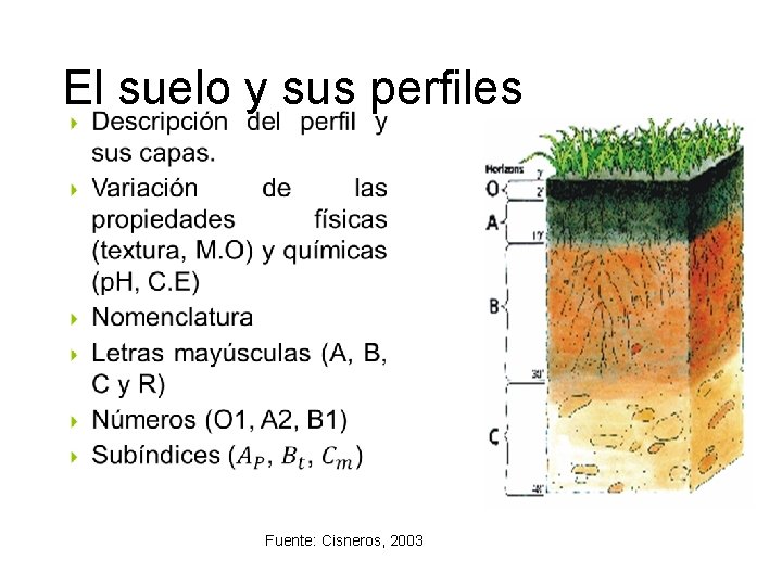 El suelo y sus perfiles • Fuente: Cisneros, 2003 