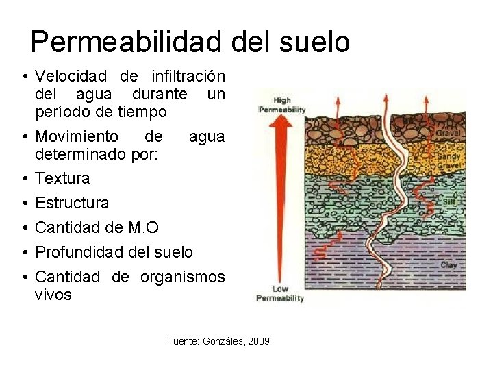 Permeabilidad del suelo • Velocidad de infiltración del agua durante un período de tiempo