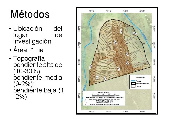 Métodos • Ubicación del lugar de investigación • Área: 1 ha • Topografía: pendiente