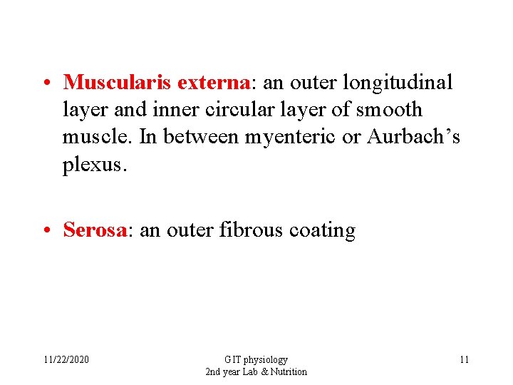  • Muscularis externa: an outer longitudinal layer and inner circular layer of smooth