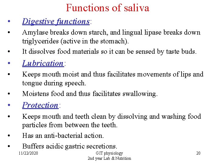 Functions of saliva • Digestive functions: • • Amylase breaks down starch, and lingual