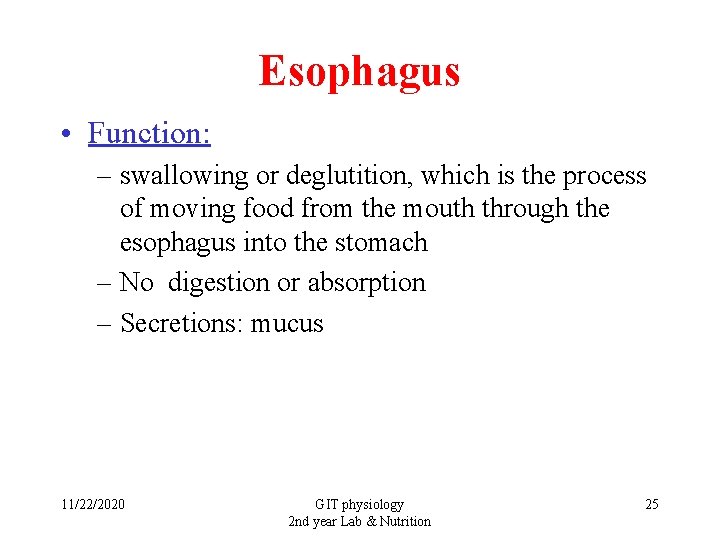 Esophagus • Function: – swallowing or deglutition, which is the process of moving food