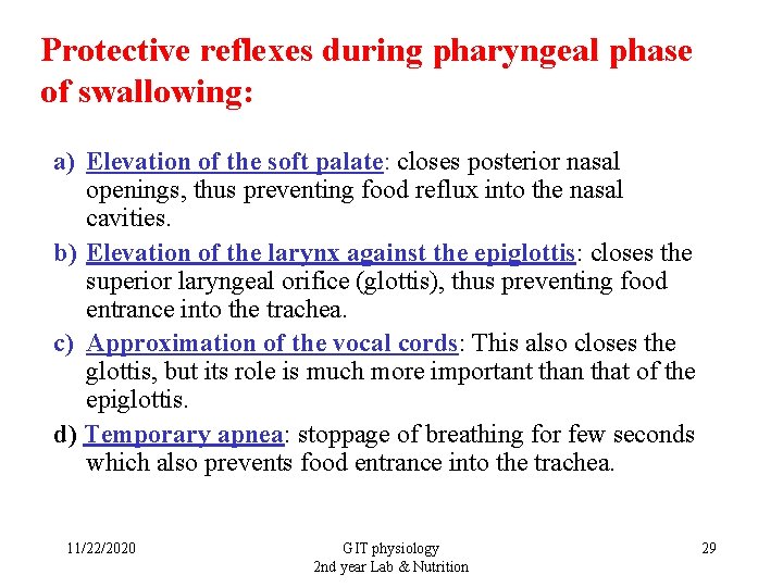 Protective reflexes during pharyngeal phase of swallowing: a) Elevation of the soft palate: closes