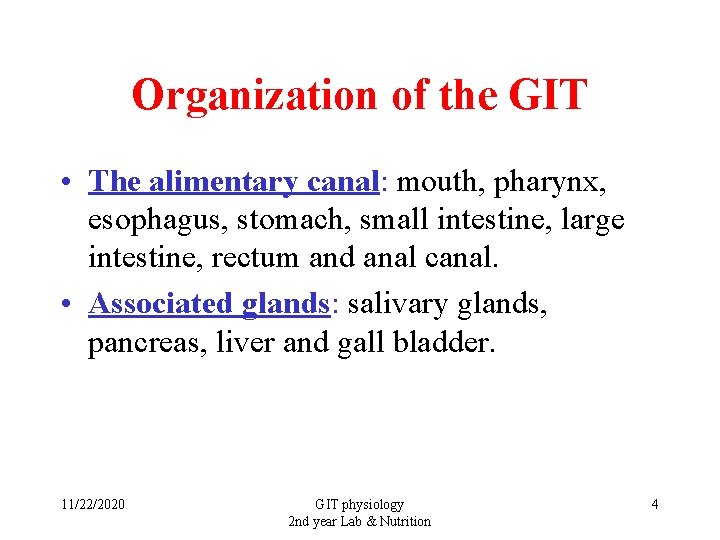 Organization of the GIT • The alimentary canal: mouth, pharynx, esophagus, stomach, small intestine,