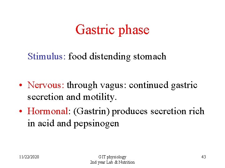 Gastric phase Stimulus: food distending stomach • Nervous: through vagus: continued gastric secretion and