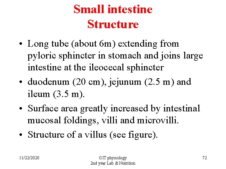 Small intestine Structure • Long tube (about 6 m) extending from pyloric sphincter in