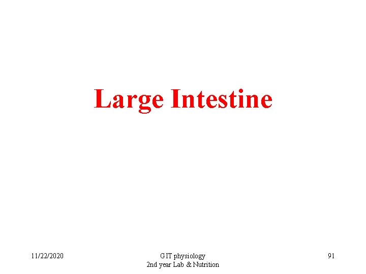 Large Intestine 11/22/2020 GIT physiology 2 nd year Lab & Nutrition 91 