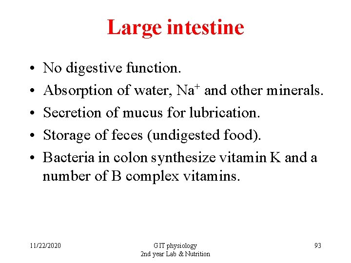 Large intestine • • • No digestive function. Absorption of water, Na+ and other