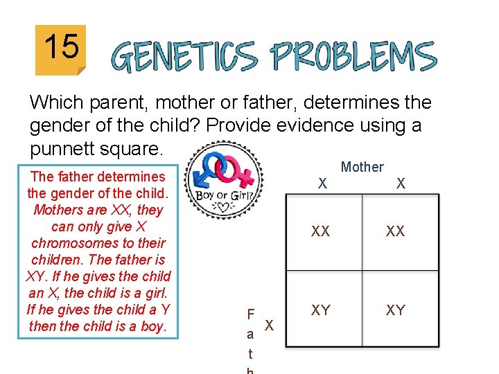 15 Which parent, mother or father, determines the gender of the child? Provide evidence