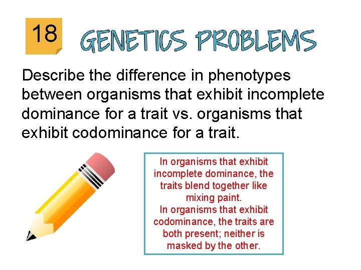 18 Describe the difference in phenotypes between organisms that exhibit incomplete dominance for a