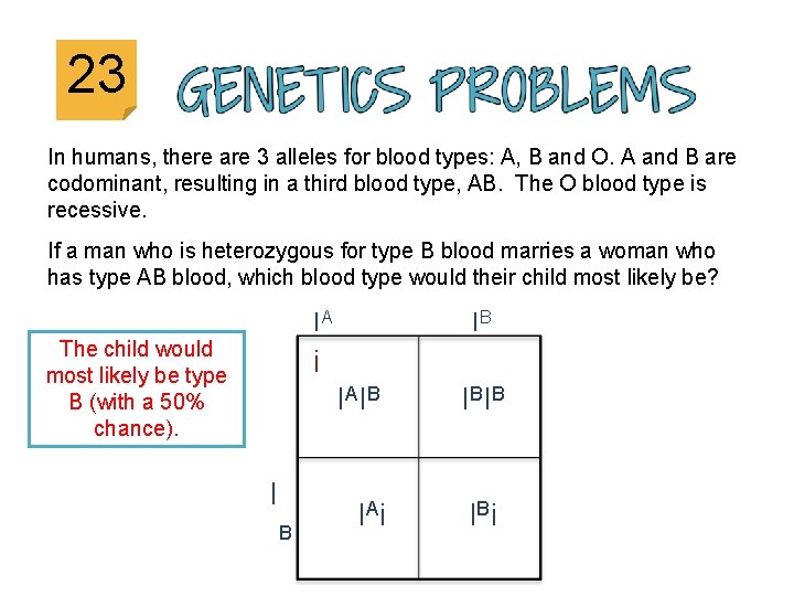 23 In humans, there are 3 alleles for blood types: A, B and O.