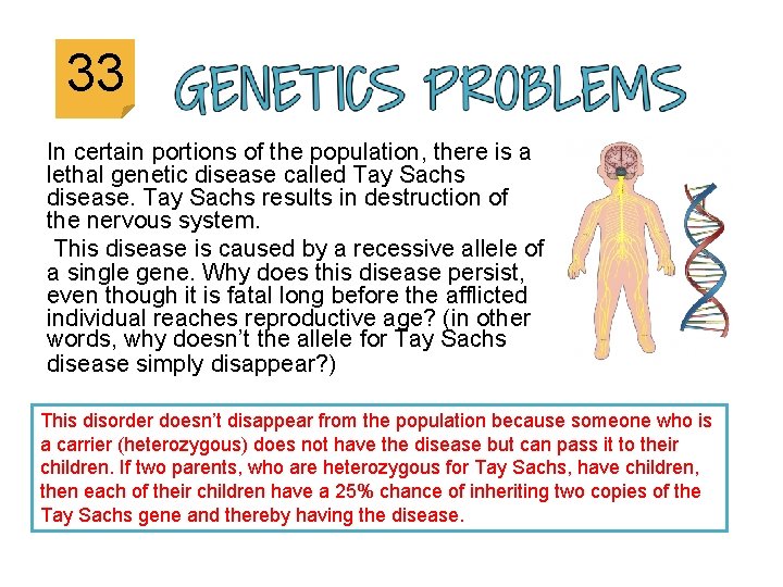 33 In certain portions of the population, there is a lethal genetic disease called