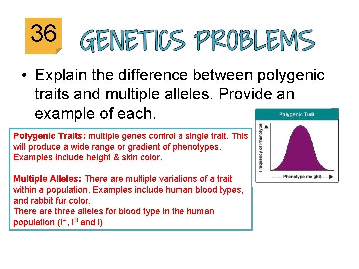 36 • Explain the difference between polygenic traits and multiple alleles. Provide an example