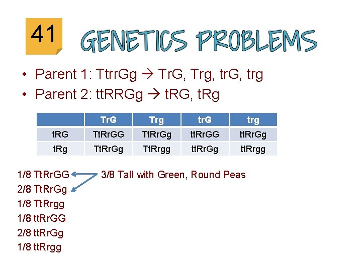 41 • Parent 1: Ttrr. Gg Tr. G, Trg, tr. G, trg • Parent