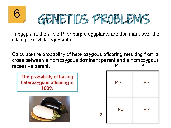 6 In eggplant, the allele P for purple eggplants are dominant over the allele