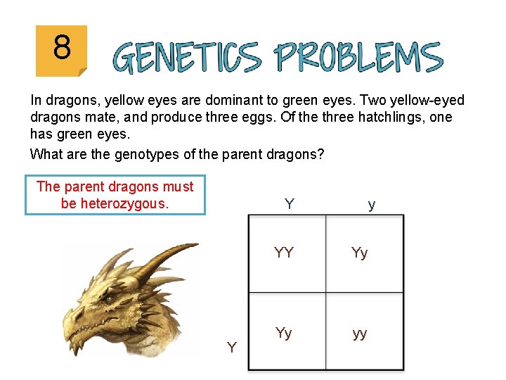 8 In dragons, yellow eyes are dominant to green eyes. Two yellow-eyed dragons mate,