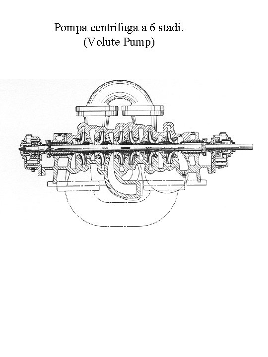 Pompa centrifuga a 6 stadi. (Volute Pump) 