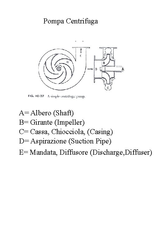 Pompa Centrifuga A A= Albero (Shaft) B= Girante (Impeller) C= Cassa, Chiocciola, (Casing) D=