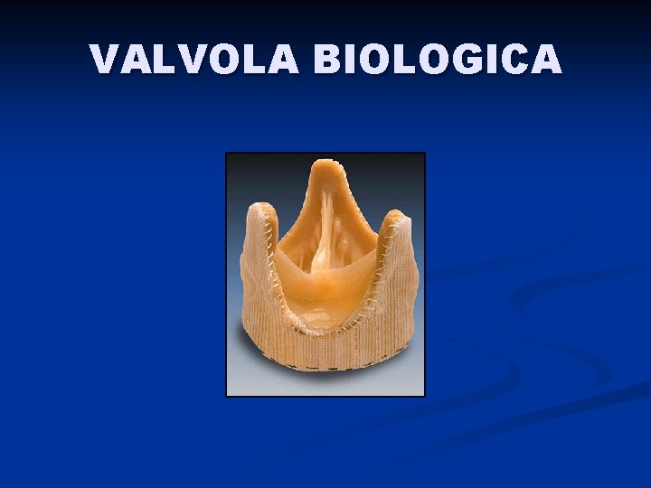 VALVOLA BIOLOGICA 