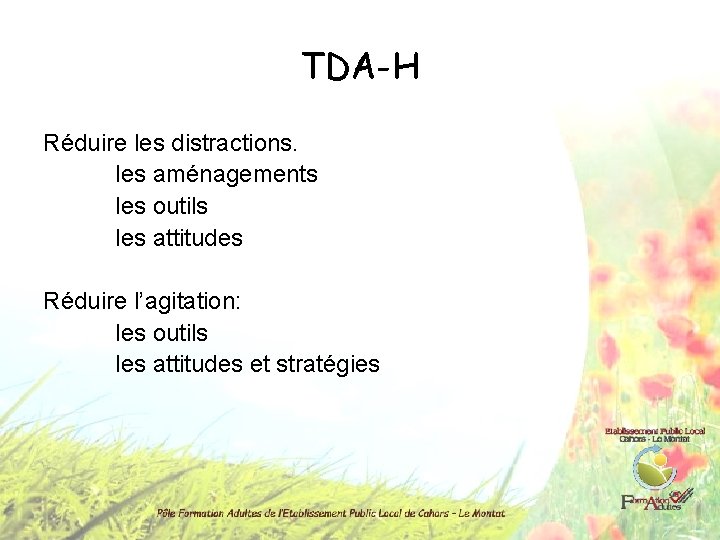 TDA-H Réduire les distractions. les aménagements les outils les attitudes Réduire l’agitation: les outils