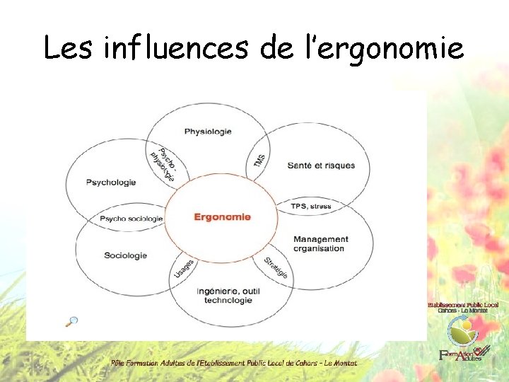 Les influences de l’ergonomie 