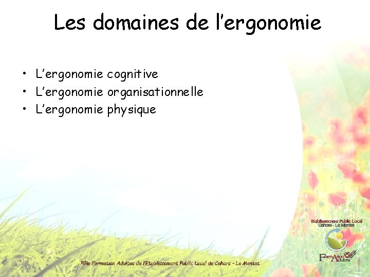 Les domaines de l’ergonomie • L’ergonomie cognitive • L’ergonomie organisationnelle • L’ergonomie physique 