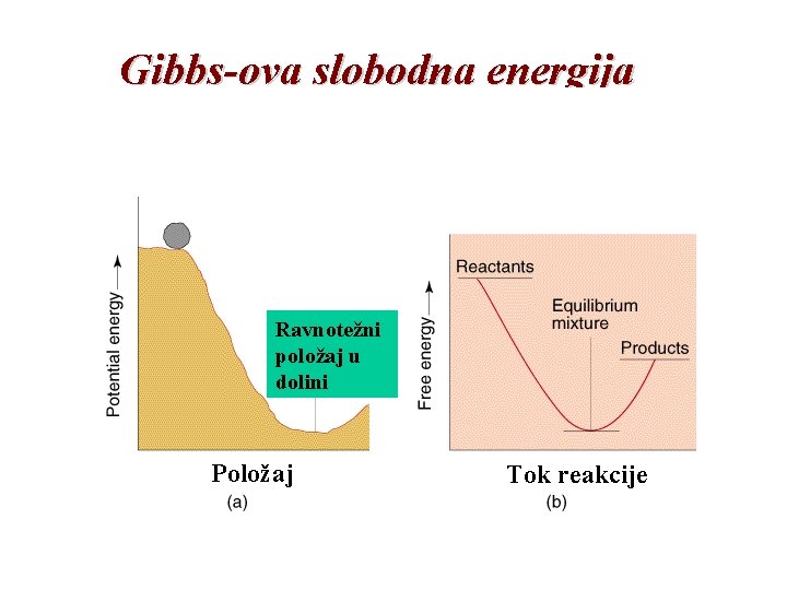 Gibbs-ova slobodna energija Ravnotežni položaj u dolini Položaj Tok reakcije 