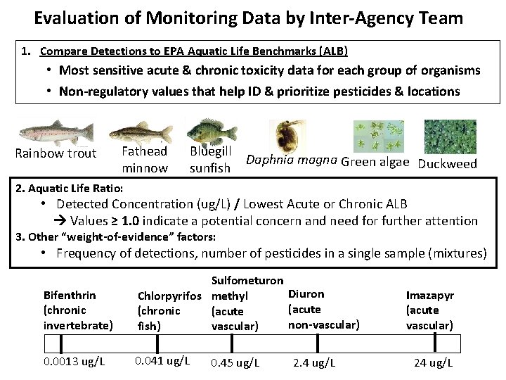 Evaluation of Monitoring Data by Inter-Agency Team 1. Compare Detections to EPA Aquatic Life