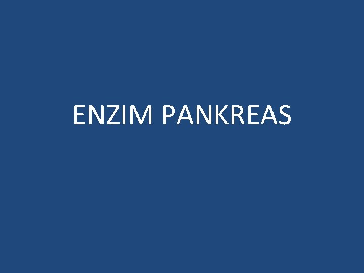 ENZIM PANKREAS 