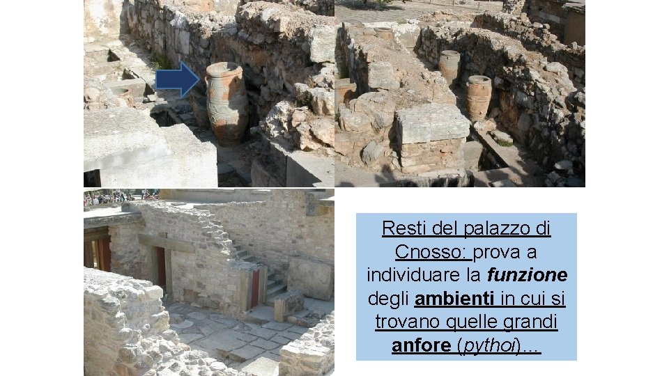 Resti del palazzo di PALAZZO dia Cnosso: prova individuare la funzione CNOSSO degli ambienti